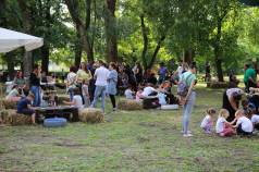 Mini IMG 5460